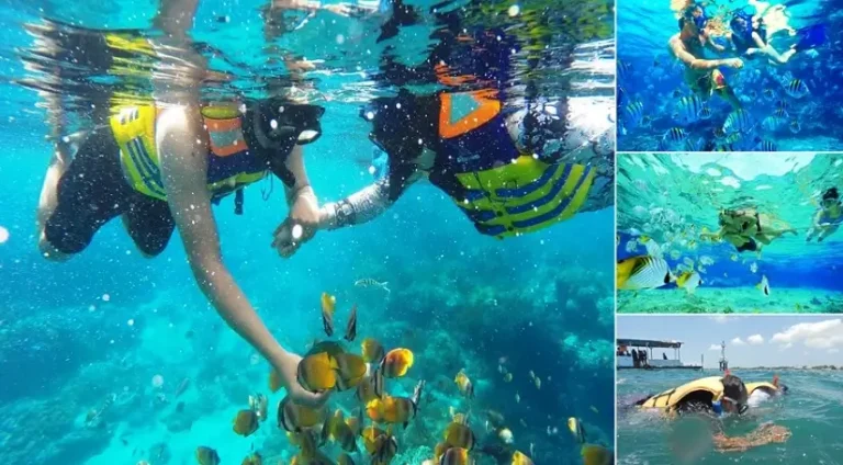 Nusa Dua Snorkeling Tour