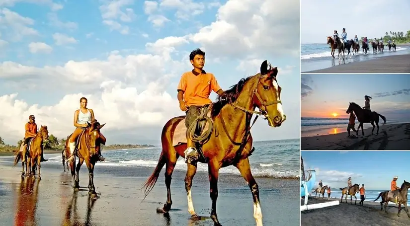 Bali Horse Riding Saba Beach