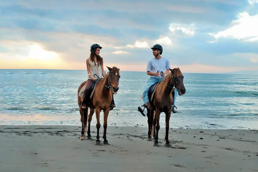 Saba Beach Horse Riding Experience