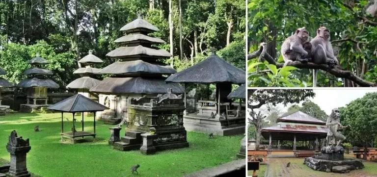 Alas Kedaton Temple, Alas Kedaton Monkey Forest, Bali Tourist Attractions, Bali Green Tour