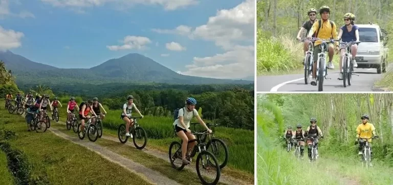 Bali Cycling Tour, Bali Bike Tours Package, Bali Activities Tour, Bali Green Tour