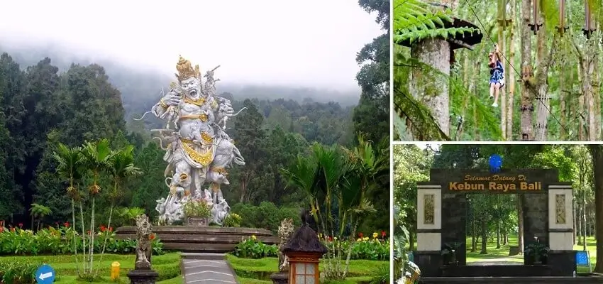 Bedugul Botanical Garden, Kebun Raya Eka Karya Bedugul, Bali Tourist Attractions, Bali Green Tour