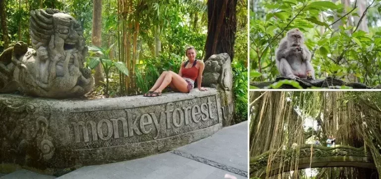 Sacred Ubud Monkey Forest Santuary, Bali Tourist Attractions, Bali Green Tour