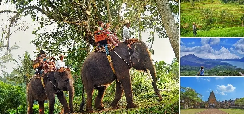 Bali Elephant Ride and Kintamani Tour, Bali Combination Tour Packages, Bali Green Tour