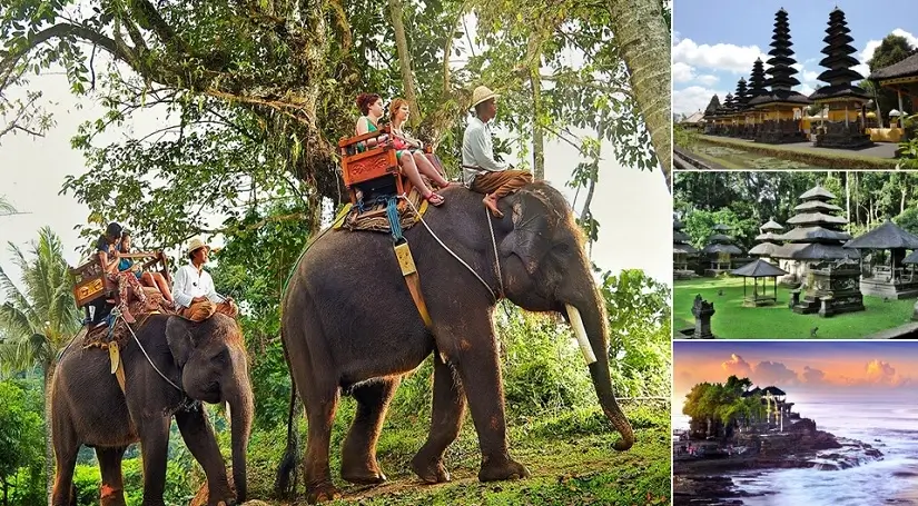 Bali Elephant Ride and Tanah Lot Tour, Bali Combination Tour Packages, Bali Green Tour