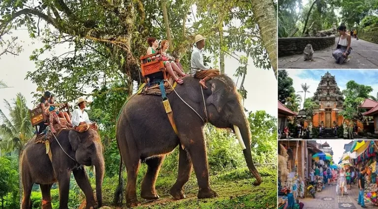 Bali Elephant Ride and Ubud Tour