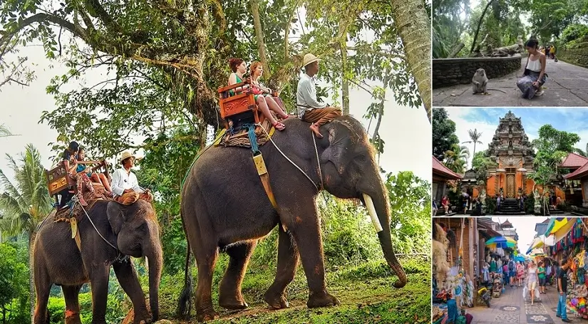 Bali Elephant Ride And Ubud Tour | The Best Combo Trip 2024