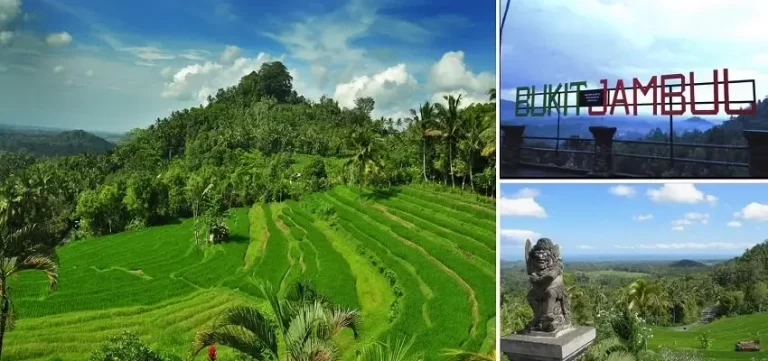 Bukit Jambul View Point, Bukit Jambul Rice Terrace View, Bali Tourist Attractions, Bali Green Tour