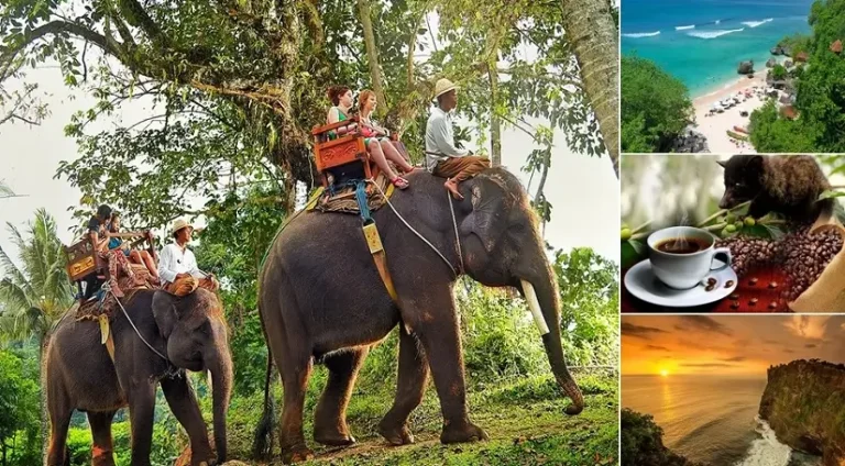 Bali Elephant Ride and Uluwatu Tour