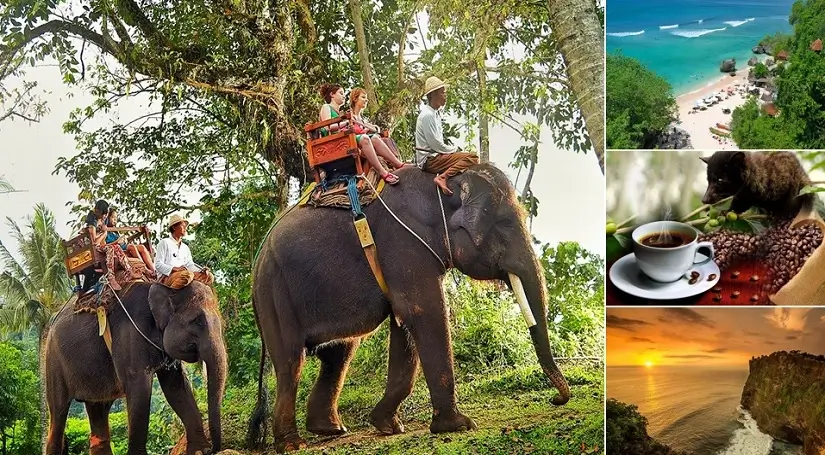 Bali Elephant Ride and Uluwatu Tour, Bali Combination Tour Packages, Bali Green Tour