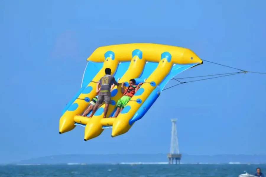 Bali Flying Fish Tour