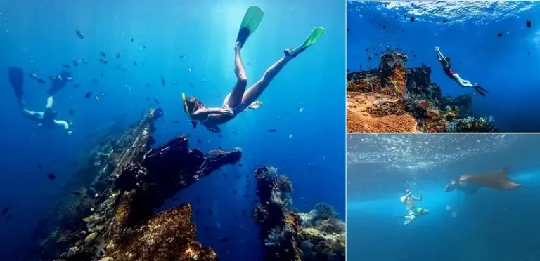 Bali Snorkeling Tour Packages, Best Snorkeling Spots In Bali, Bali Activities Tours, Bali Green Tour