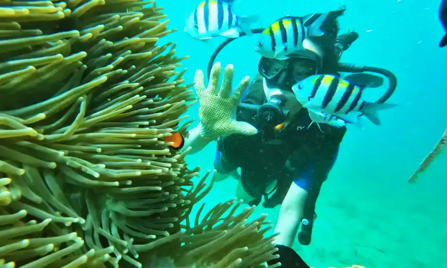 Nusa Dua Scuba Diving
