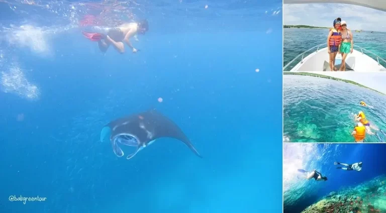 Nusa Lembongan Snorkeling Tour
