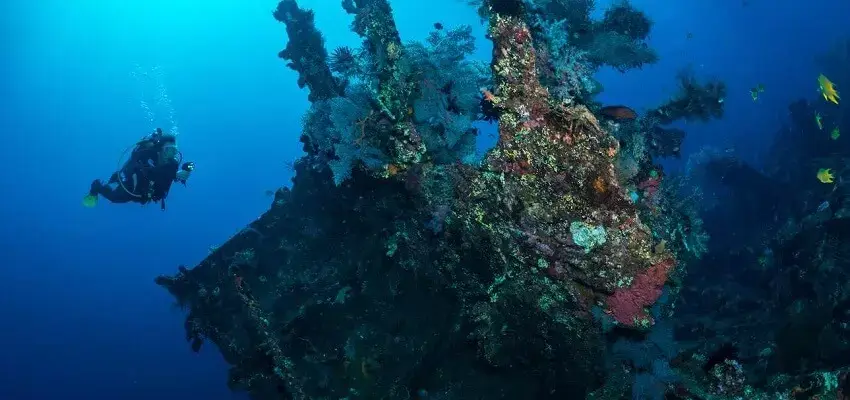 USAT Liberty Shipwreck Snorkeling Point
