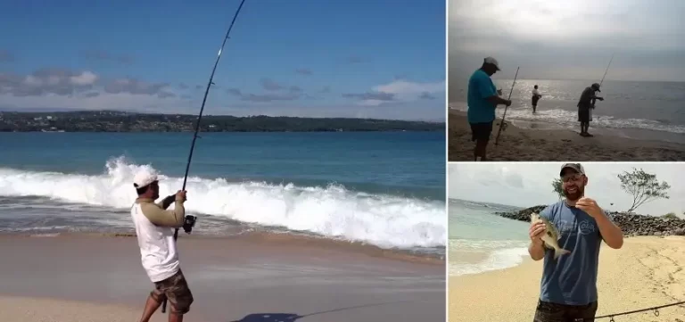Bali Shore Fishing Tour, Bali Surf Fishing, Bali Fishing Tour, Bal Green Tour