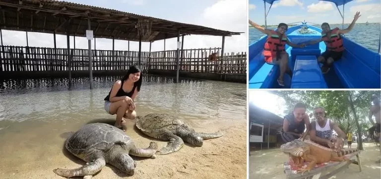 Bali Turtle Island Tour, Glass Bottom Boat, Bali Turtle Conservations, Bali Water Sports Packages, Bali Green Tour