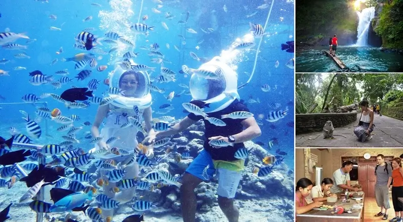 Bali Ocean Walker Ubud Tour, Bali Seawalker Ubud Tour, Bali Combination Tour Packages, Bali Green Tour