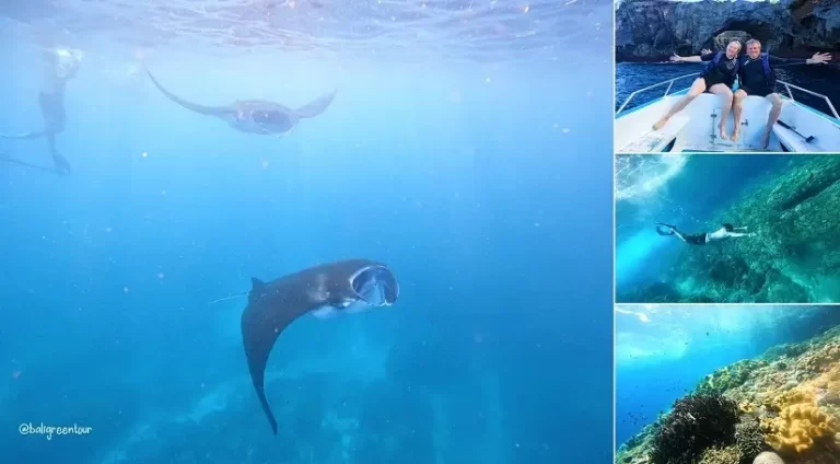 Nusa Penida Snorkeling Tour