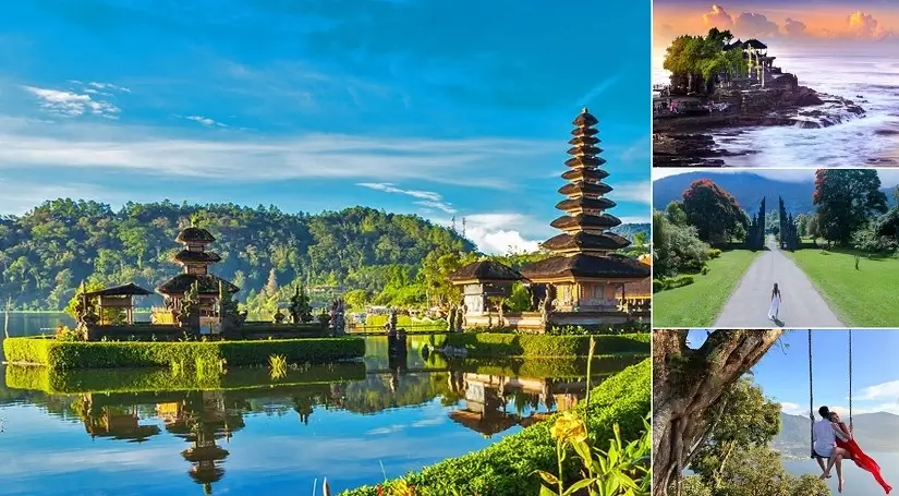 Wanagiri Hidden Hills Bali Tour - Bedugul Tanah Lot Tour - Bali Full Day Tour Packages - Bali Green Tour