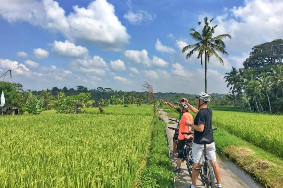 Kintamani Downhill Cycling Tour