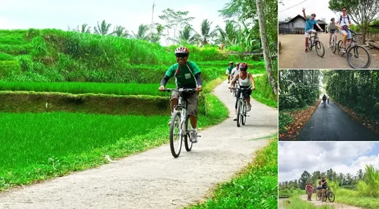 Kintamani Cycling Tour