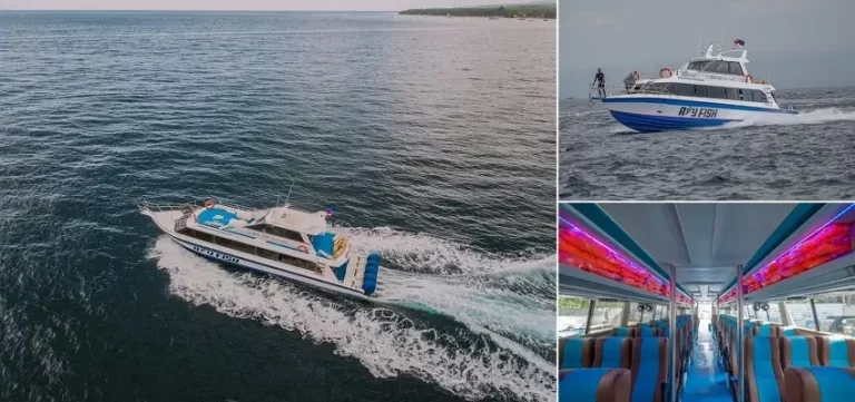 Ray Fish Fast Boat, Ray Fish Fast Cruises, Bali Fast Boat Transfer
