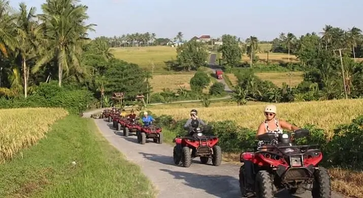 ATV Ride Pass Rice Fields