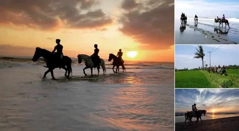 Bali Sunset Horse Riding Tour