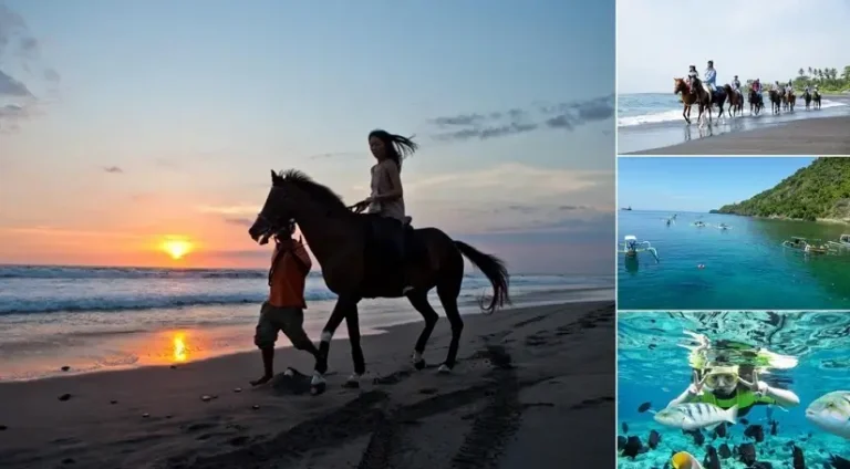 Bali Horse Riding Snorkeling Tour
