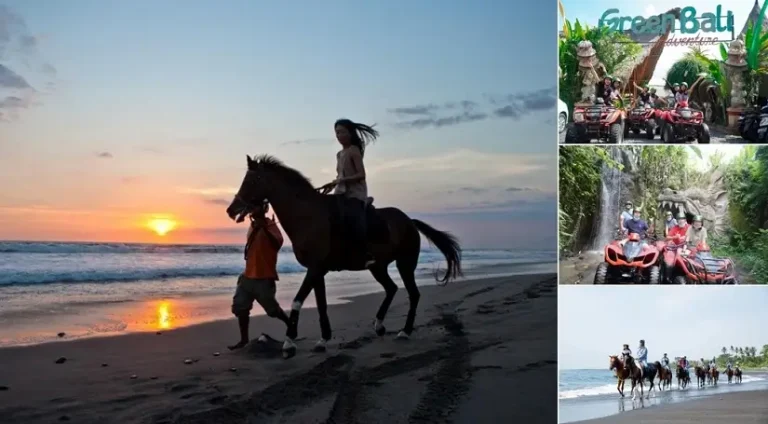 Bali Horse Riding ATV Ride Tour