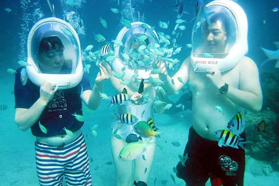 Bali Sea Walker Adventure