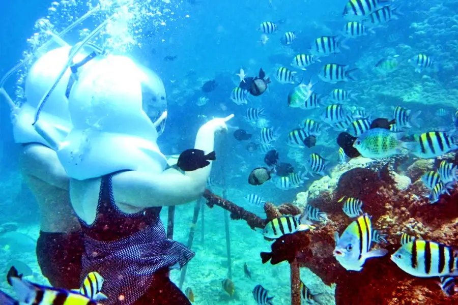 Bali Sea Walker Tour,