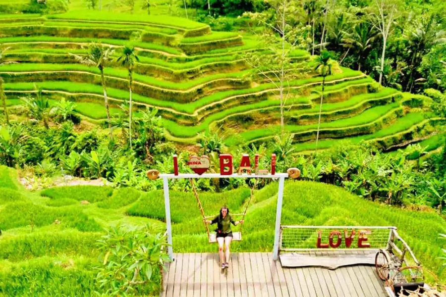 Tegalalang Rice Terrace ebike tour, Bali Cycling Tour, Bali Green Tour Tegalalang Rice Terrace ebike tour