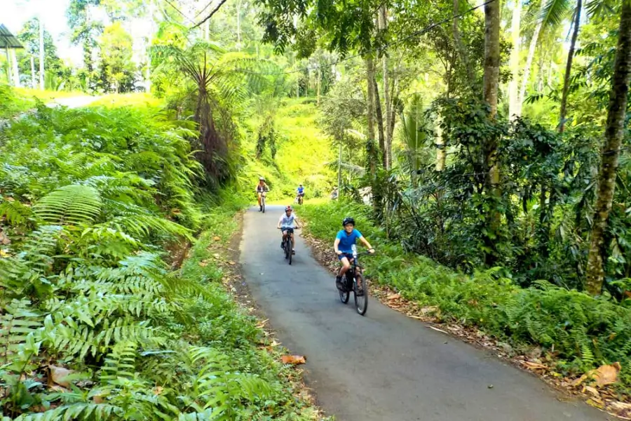 Ubud Tirta Empul eBike Tour, Bali Cycling Tours, Bali Green Tour Bali Cultural eBike Tour