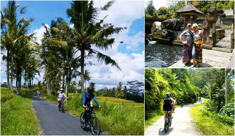 Ubud to Tirta Empul eBike Tour, Bali Cycling Tours