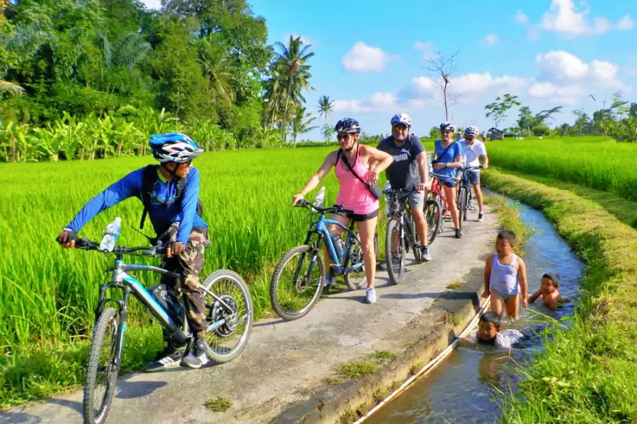 ebike tour, Rice field cycling tour, Bali Green Tour Ubud Rice Field eBike Tour