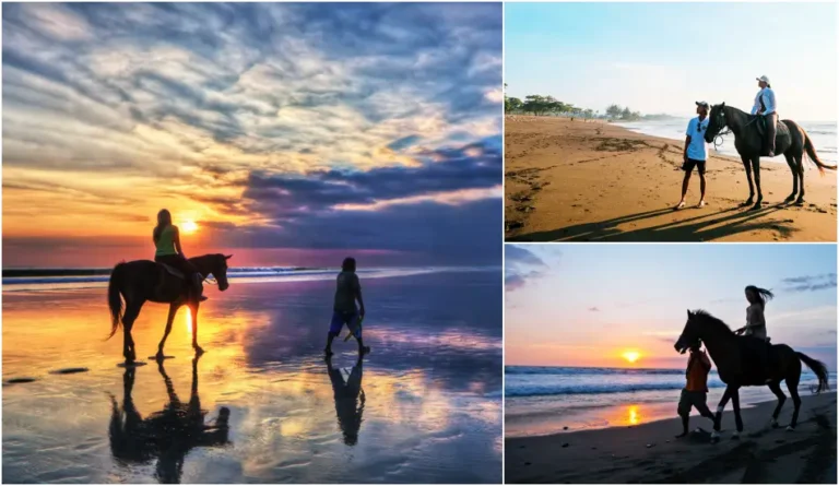 Bali Sunrise Horse Riding