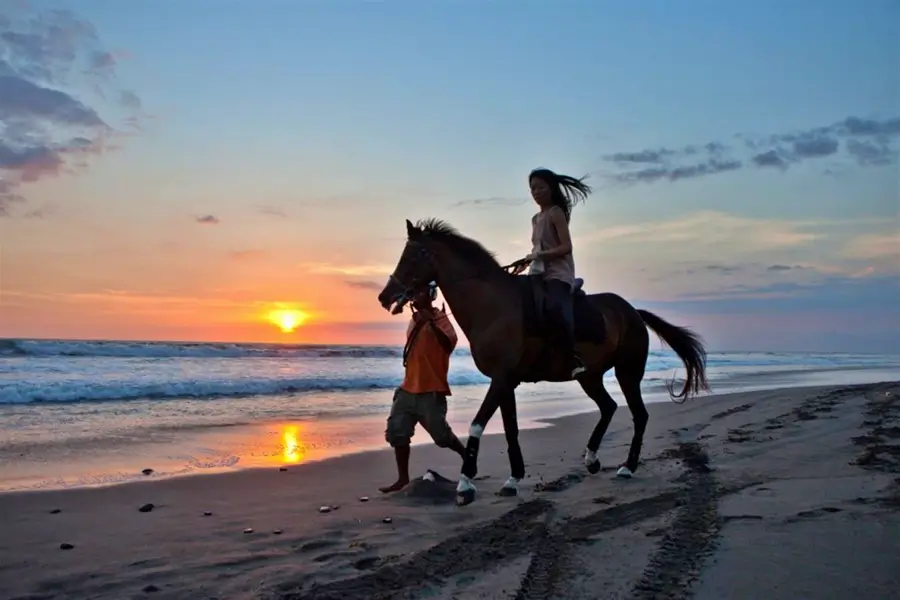 Bali Sunrise Horse Riding Experience