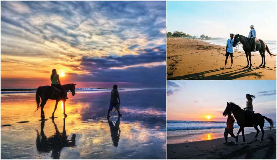 Bali Sunrise Horse Riding